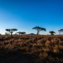 TZA MAR SerengetiNP 2016DEC23 Seronera 007 : 2016, 2016 - African Adventures, Africa, Date, December, Eastern, Mara, Month, Places, Serengeti National Park, Seronera, Tanzania, Trips, Year